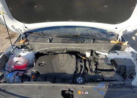 2024 Kia Sportage X-Line z USA, uszkodzony, nr VIN 5XYK6CDF2RG222084